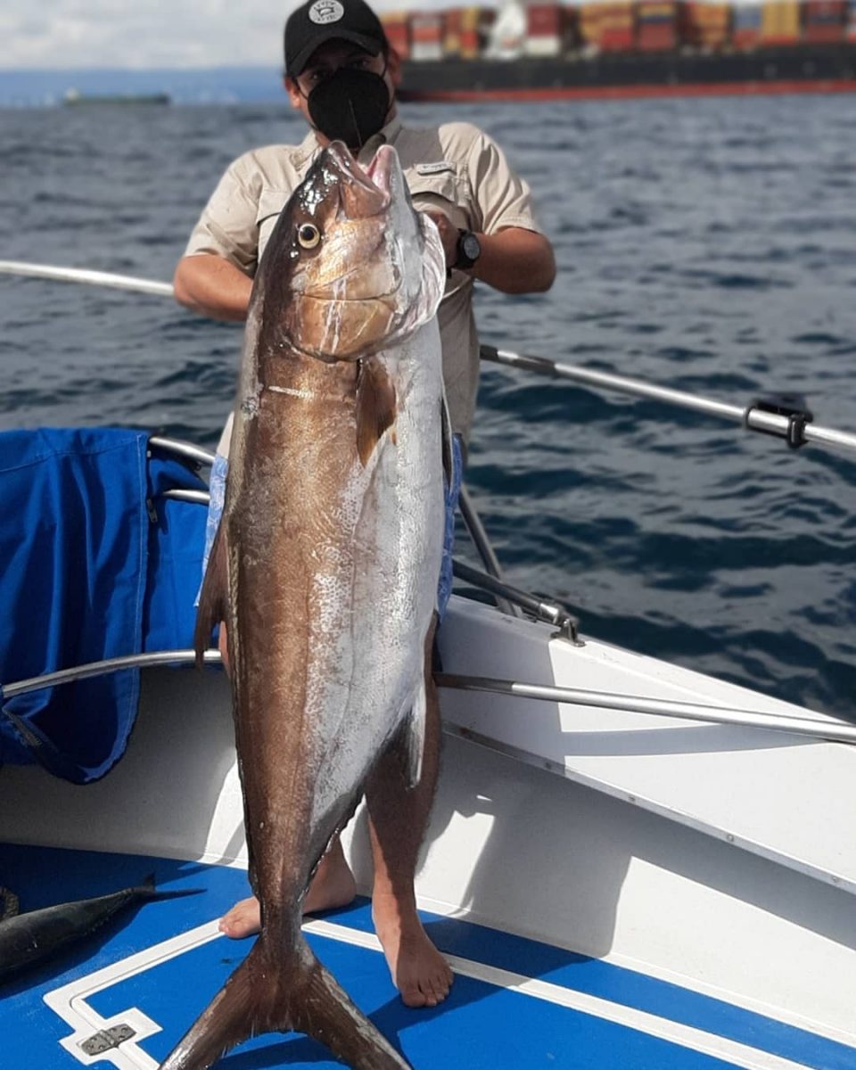 Pesca con Carnada Gigante en Mar Abierto