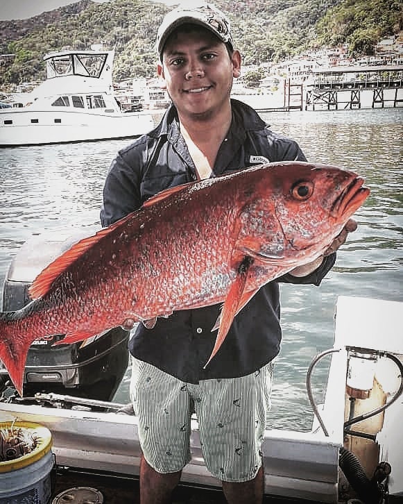 red snapper panama